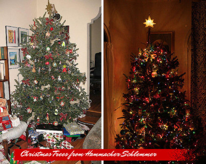 Why You Should Buy Your Real Christmas Tree Online (And Vendor Reviews)